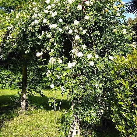 Bed & Breakfast Chateau De La Prade
