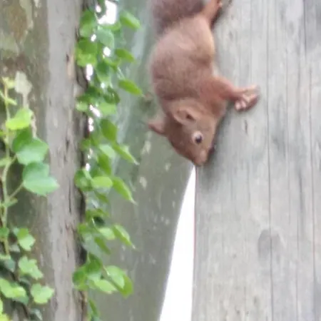 Chateau De La Prade Bed and breakfast Bram