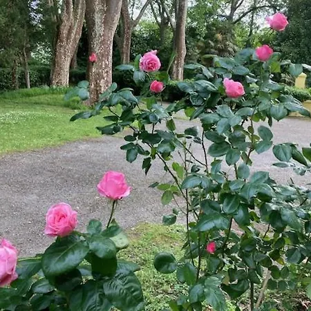 Chateau De La Prade Bram